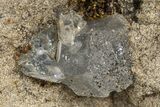 Herkimer Diamonds in Matrix - The Ace of Diamonds Mine, New York #324462-1